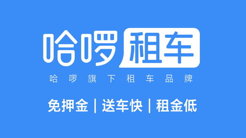 暑假租車(chē)出行受熱捧 哈啰租車(chē)多城上線租賃服務(wù)